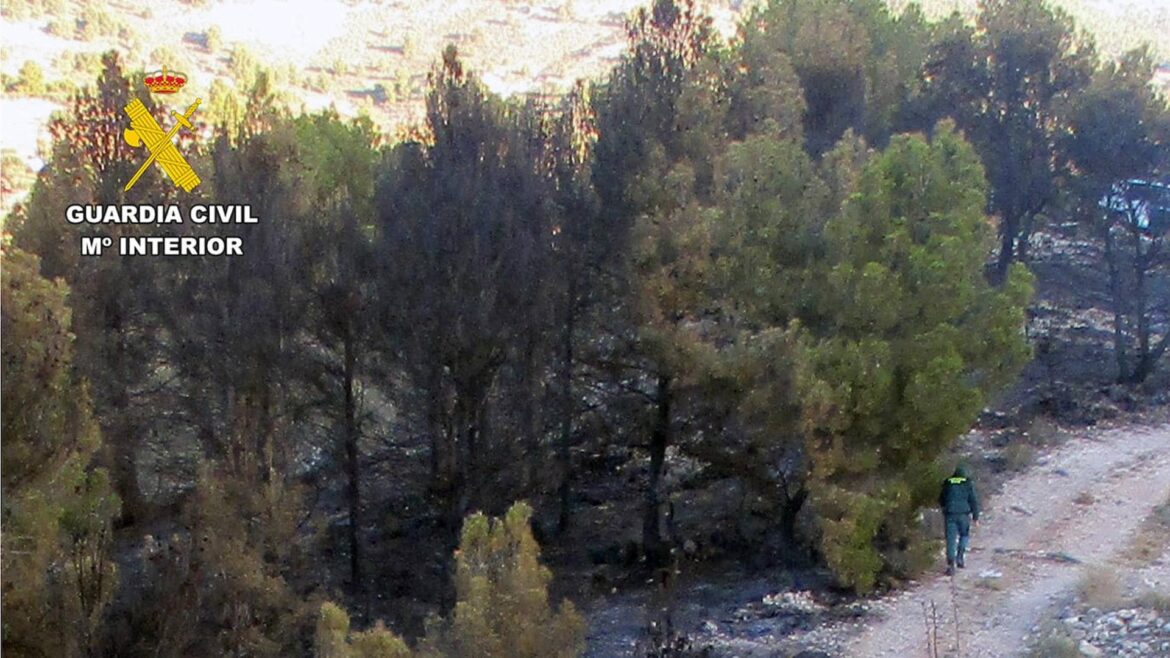 Investigado un agricultor por provocar un incendio forestal en Lorca con la quema de restos de poda