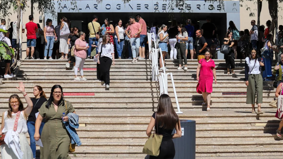 Casi 9.000 opositores, a la carrera por una de las 798 plazas de profesor de Primaria en la Región de Murcia