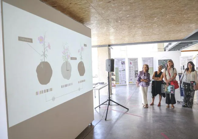 Primeros visitantes a la exposición sobre la jara de Cartagena, en el edificio del antiguo CIM.