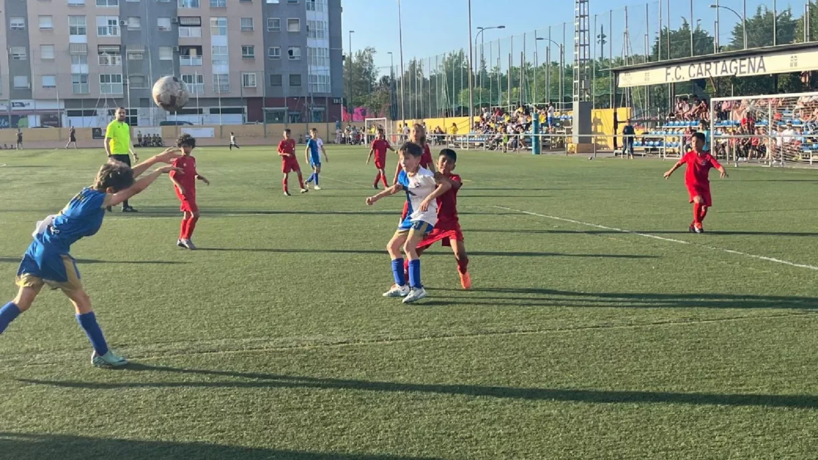 La Liga Comarcal de Fútbol Base echa el cierre en el Cartagonova