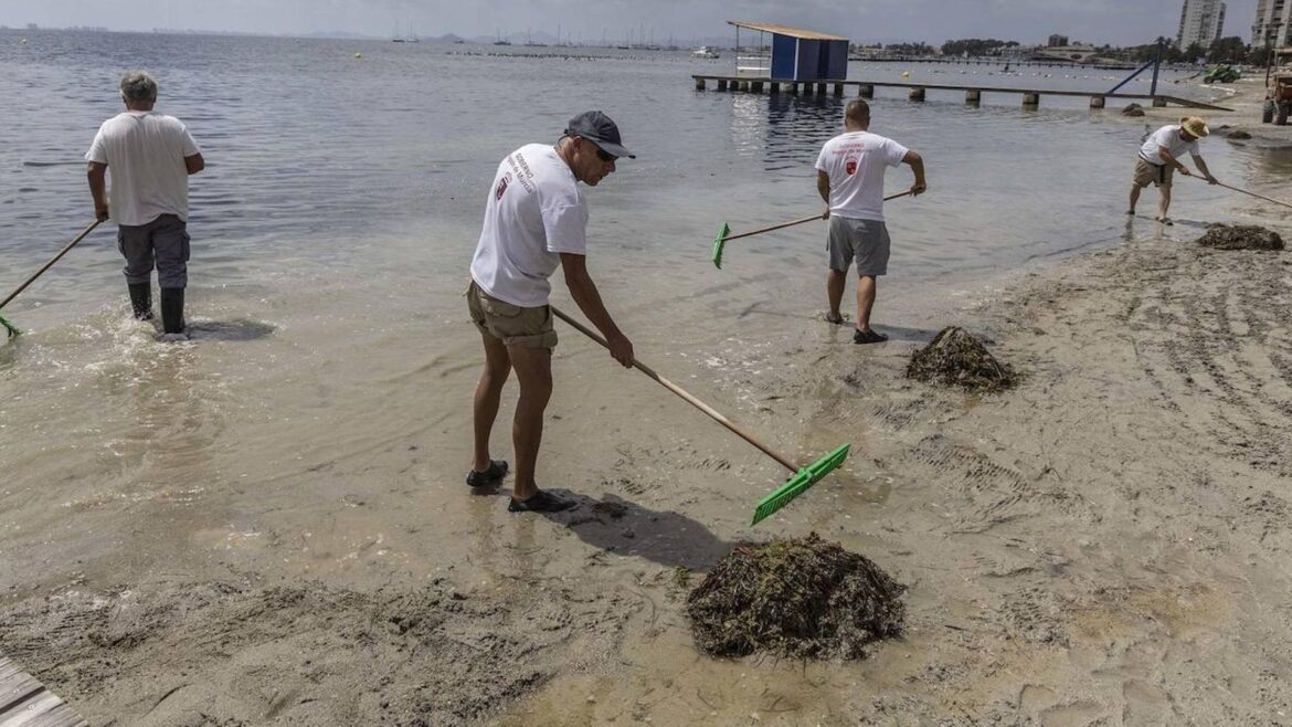 La Comunidad invertirá 16 millones para la retirada de biomasa del Mar Menor