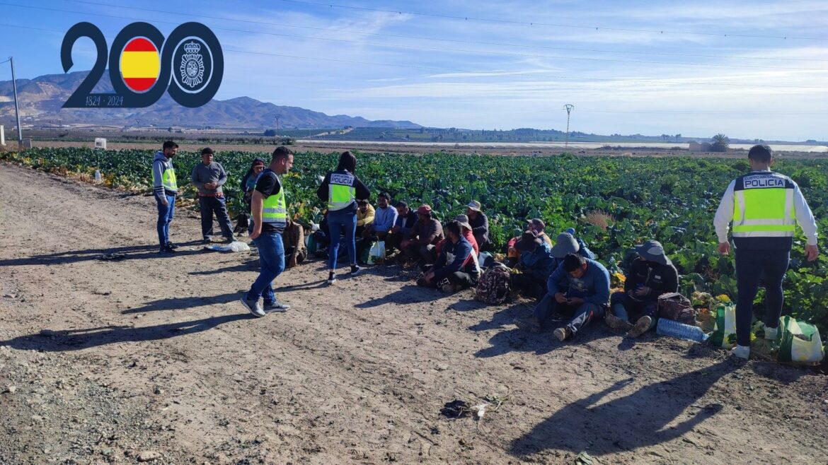 Detienen a 46 personas en dos explotaciones agrícolas de Alhama y Lorca por delitos contra los derechos de los trabajadores