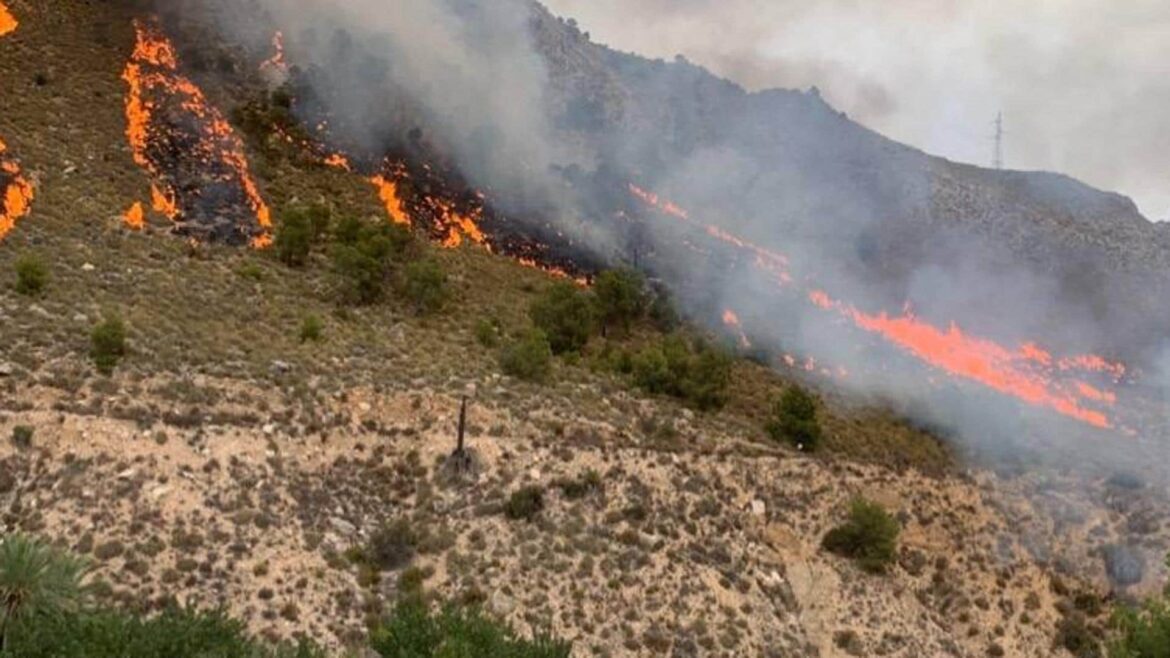 Arde parte de la sierra de Ricote por un virulento incendio
