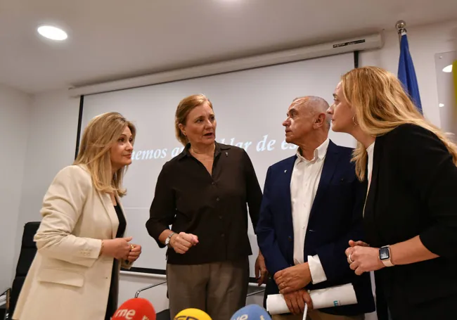 Carmen Godoy, María Fuster, Jesús Leandro y Laura Espín, este miércoles en el Colegio de Psicólogos.
