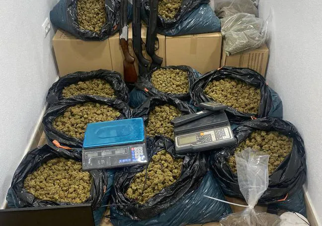 Cogollos de marihuana y armas.