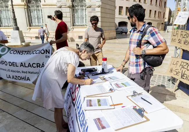 SOS Palmeral recoge firmas este jueves en la Plaza del Ayuntamiento para frenar la construcción.