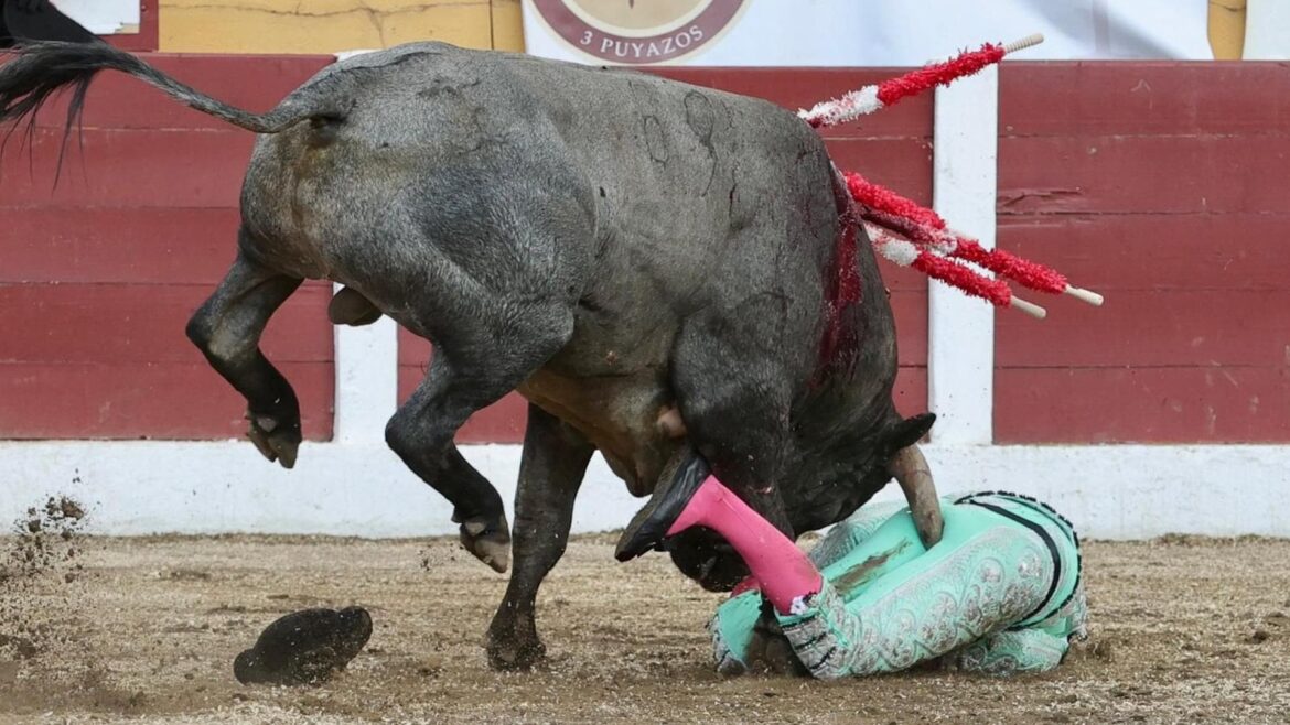El banderillero murciano José Mora, operado tras la grave cornada sufrida en Francia
