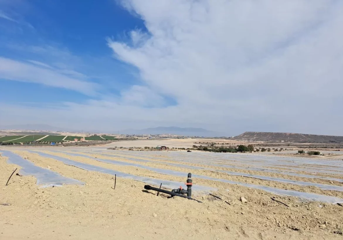 Ecologistas denuncia un regadío ilegal de 47 hectáreas en Mazarrón con daños a flora y fauna protegida