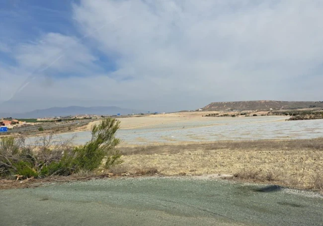 Panorámica de la parcela denunciada por la CHS en Mazarrón.