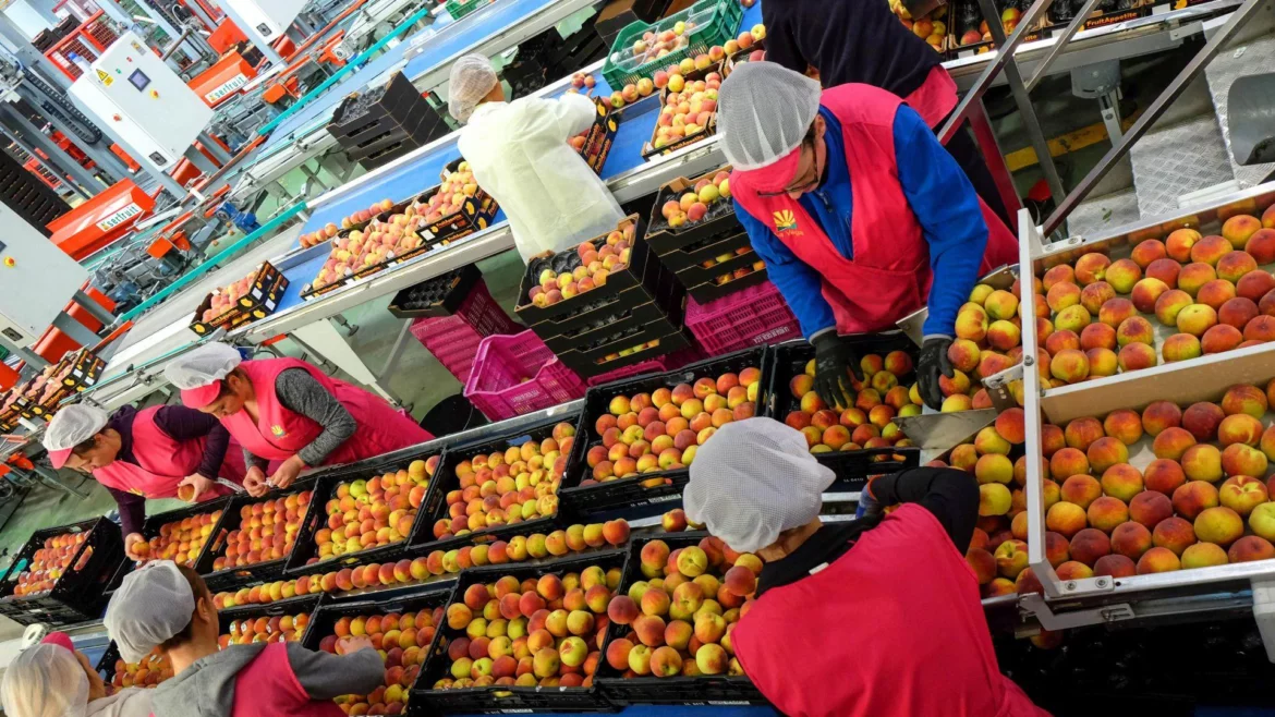 El complemento que puedes pedir en la pensión para cobrar como mínimo 400 euros más al año