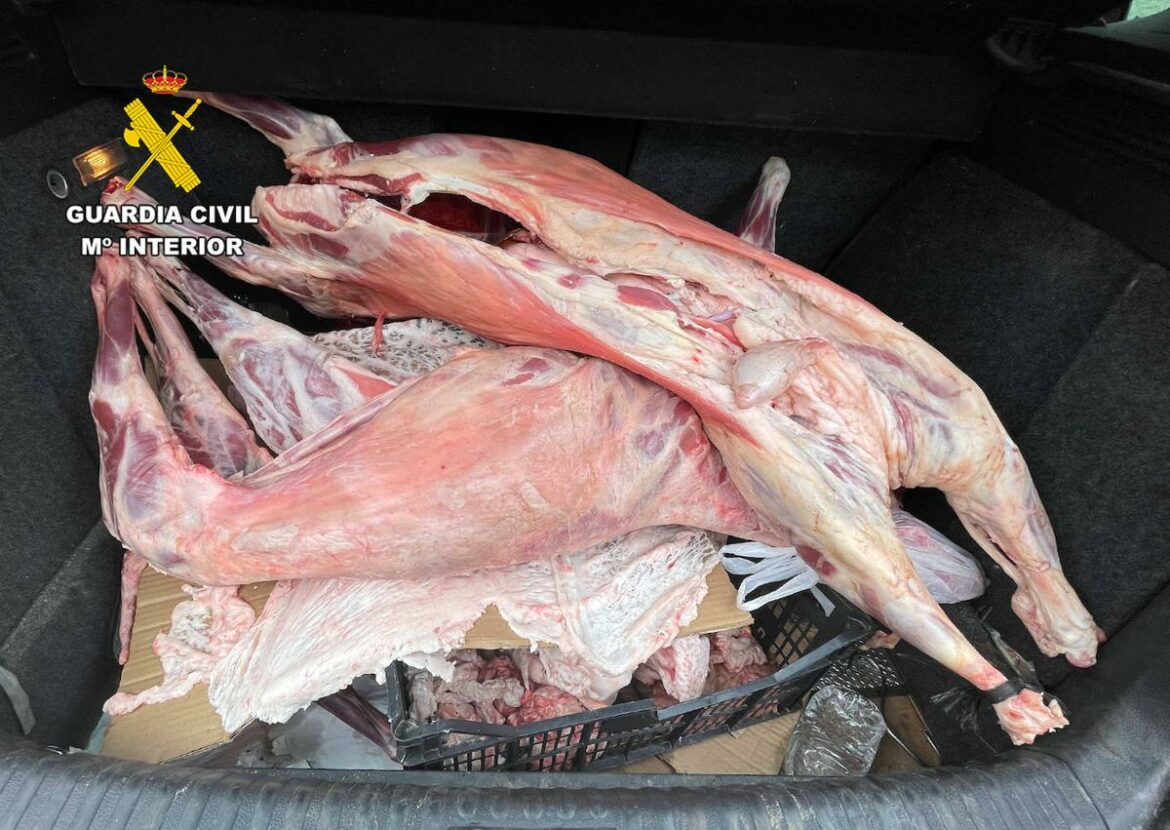 Cinco detenidos y dos investigados por el robo de ganado en el Campo de Cartagena