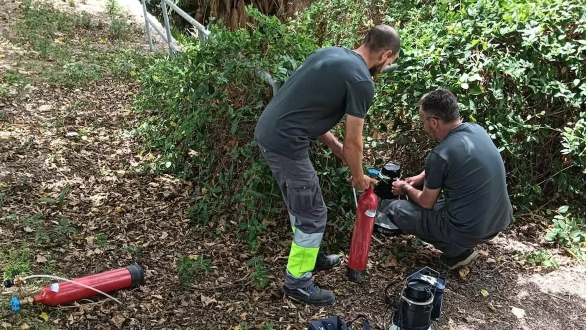 Descartan que garrapatas y mosquitos en la Región puedan contagiar la Covid-19