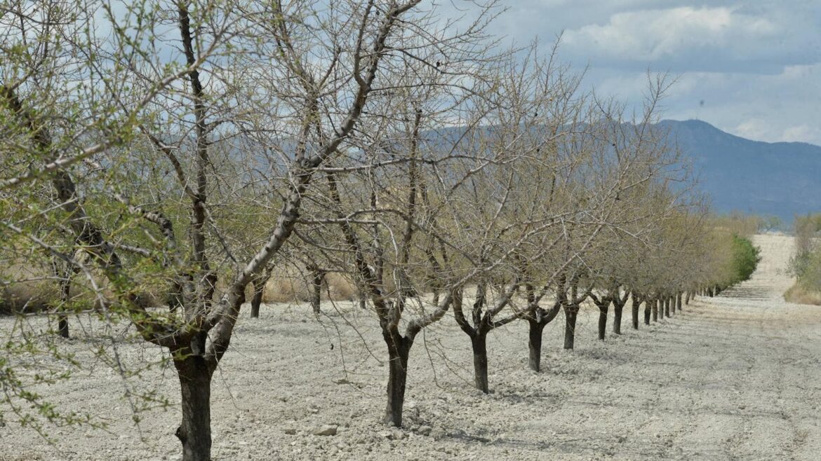 Las lluvias se reducen a la mitad con respecto a la media de los últimos 30 años
