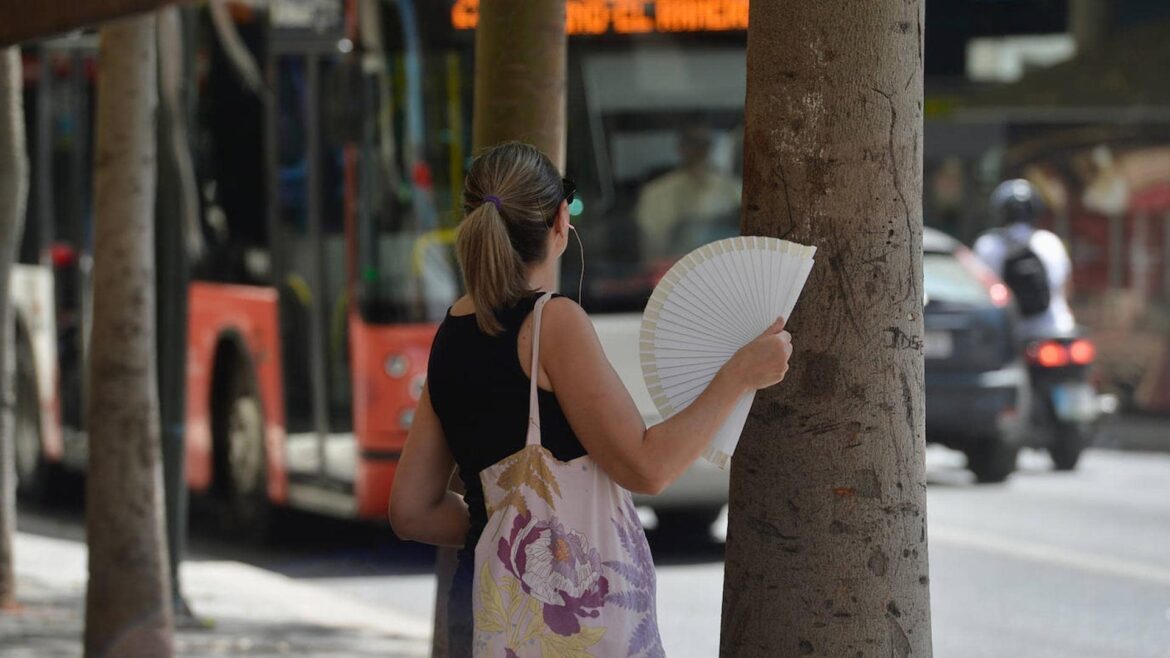 Alerta amarilla en la Región por temperaturas de hasta 39 grados en el inicio de semana