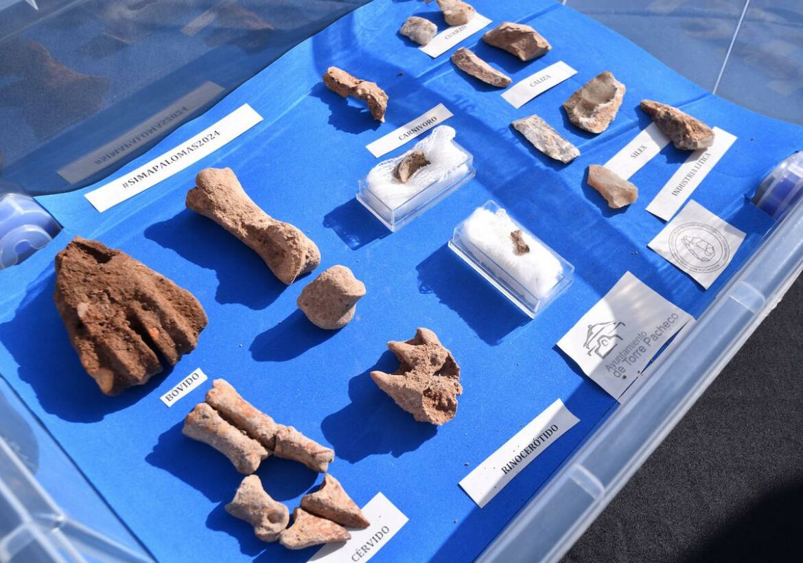 Hallan huesos de neandertal de hasta 130.000 años en la Sima de las Palomas