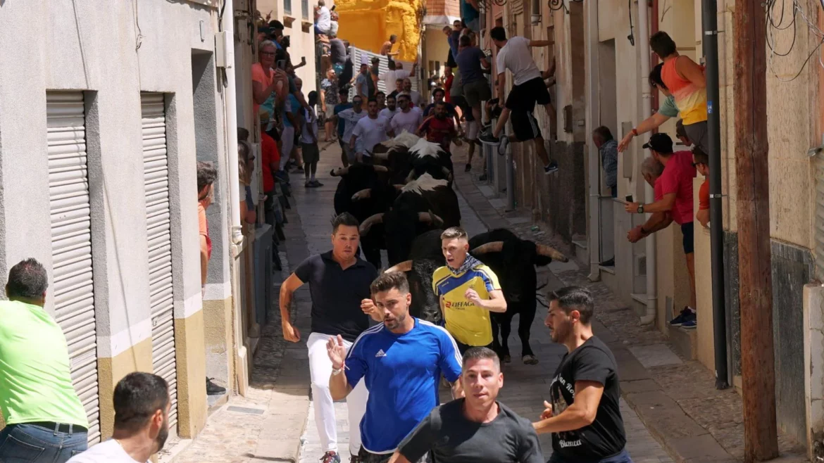 El primer encierro de las fiestas de San Roque de Blanca transcurre sin incidentes