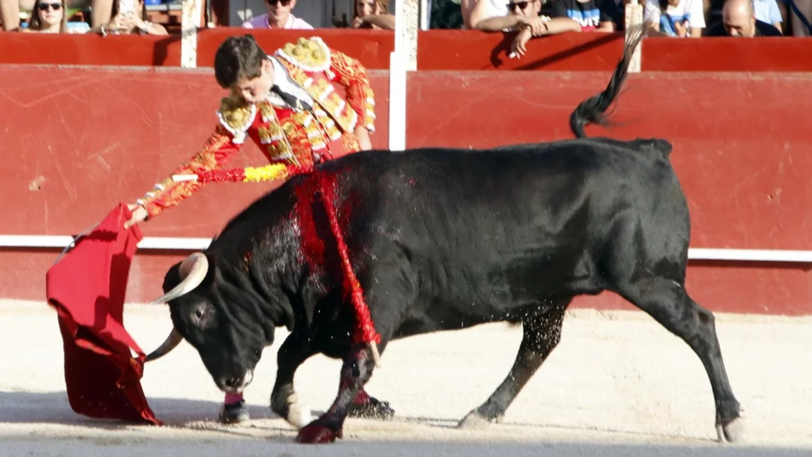 Miguelito pasea una oreja en una tarde horrible para Manuel Casado en Blanca