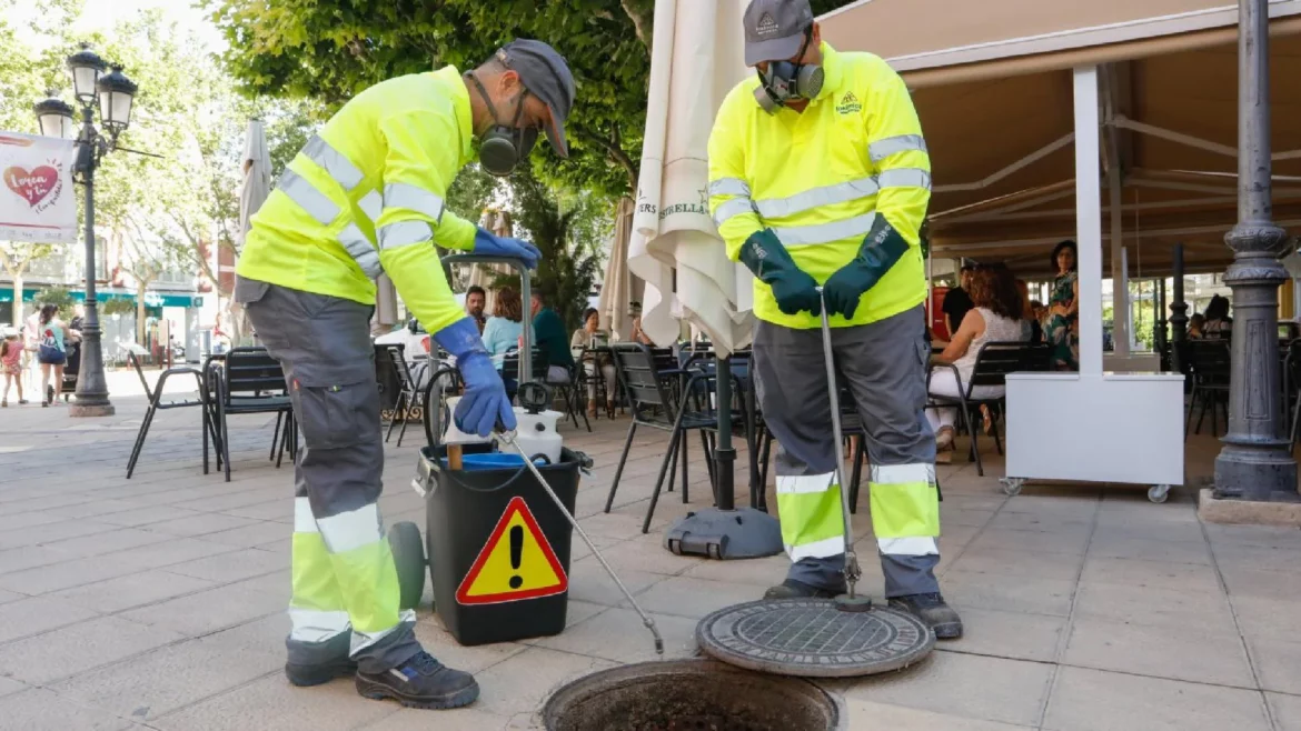 Animalistas critican el control de las plagas de palomas con aves rapaces en Lorca