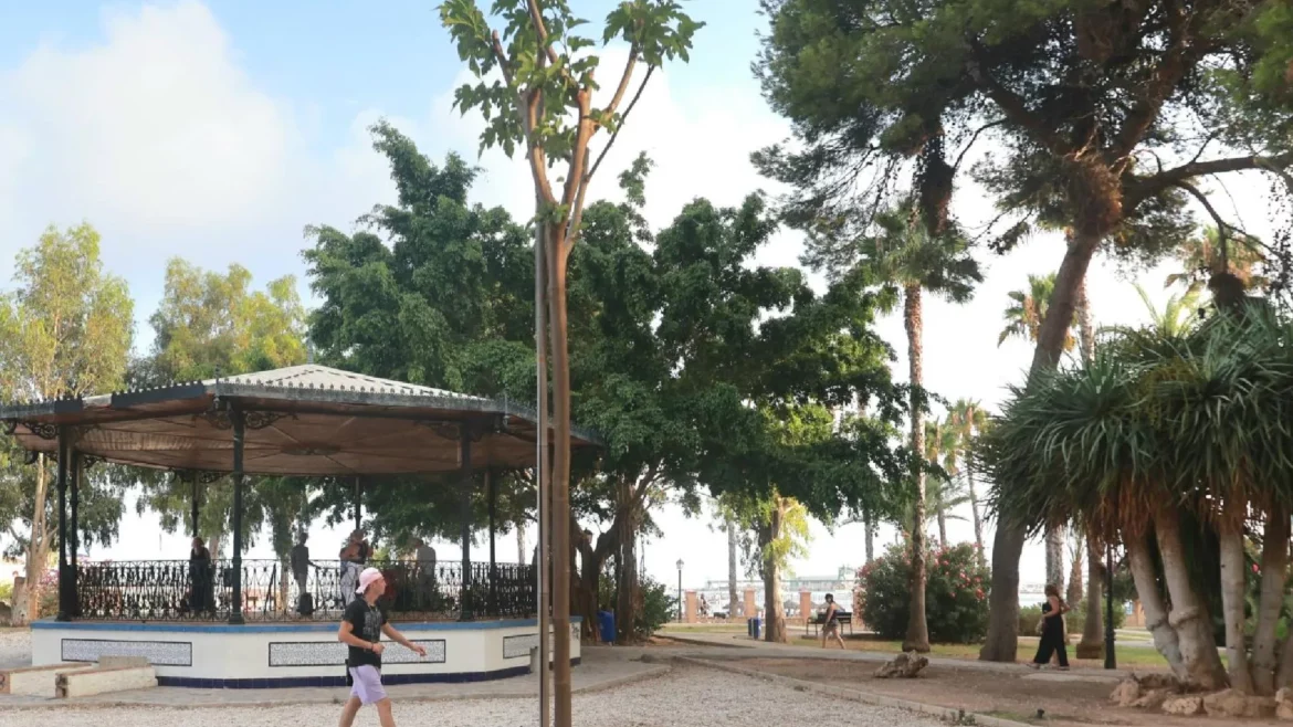 Reponen árboles en el parque Doña Sinforosa de Torrevieja tras la caída de ejemplares