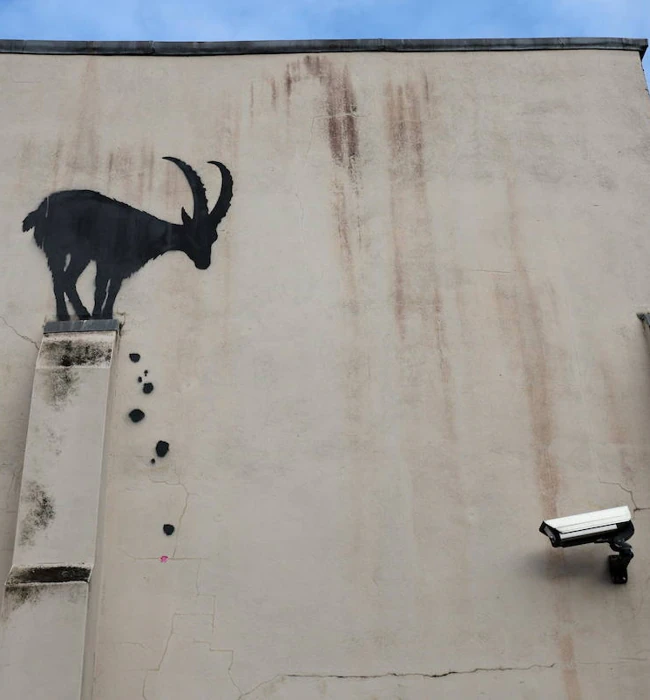 La cabra montés ante un cámara de seguridad, prime grafiti de la serie.