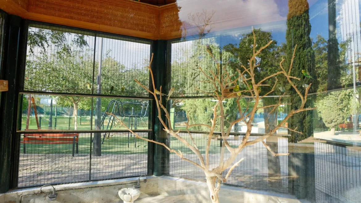 Tres detenidos en Lorca por el robo de aves exóticas