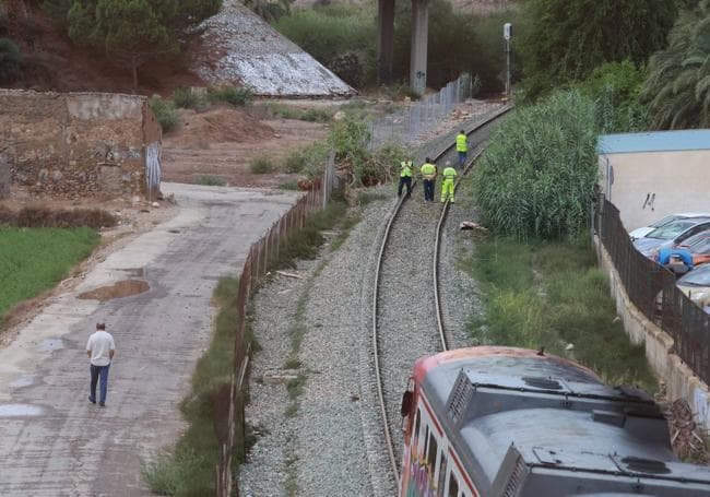 Un tren de la línea Murcia-Alicante choca contra un árbol y el servicio queda cortado