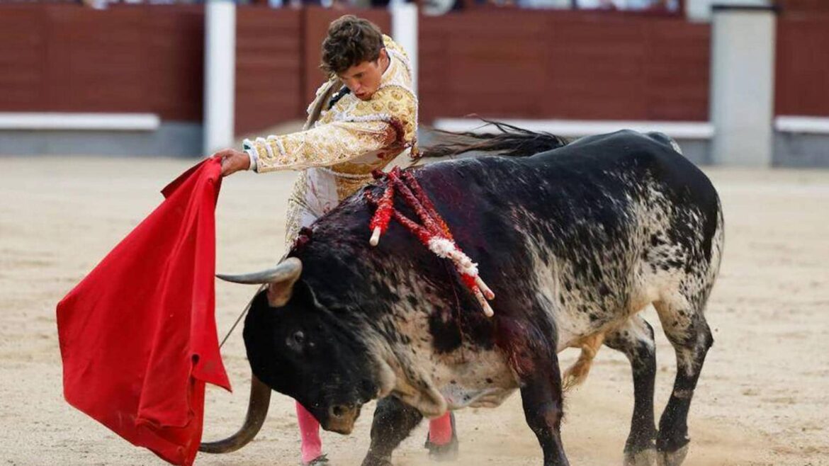 Toreo de calidad del totanero Jorge Martínez, que se lesionó del hombro en Azpeitia