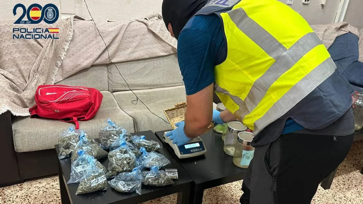 Seis detenidos y cien plantas de marihuana intervenidas en Cartagena