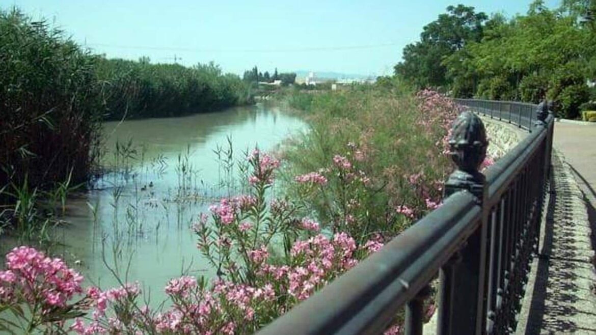 Buscan a un hombre de 35 años perdido en el río Segura a la altura de Archena