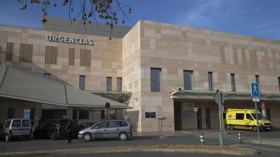 Un hombre, herido grave por el picotazo de una avispa en Cartagena