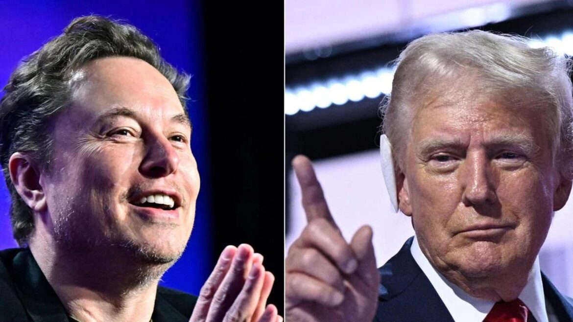 Trump a Musk: «¿Has visto a Biden en la playa? Apenas podía caminar»