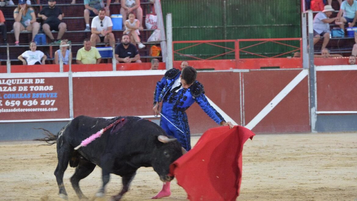 Novillada de Pedrés grande por fuera y vacía por dentro