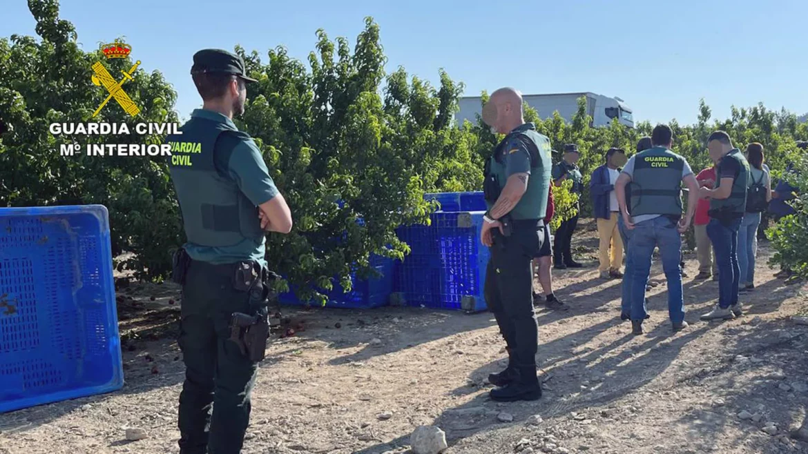 Detenidas 16 personas por emplear a trabajadores extranjeros de forma irregular en la Región de Murcia