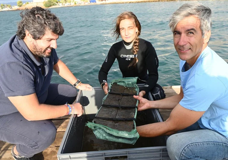 Comienza el histórico rescate del barco fenicio de Mazarrón con una primera pieza de su proa