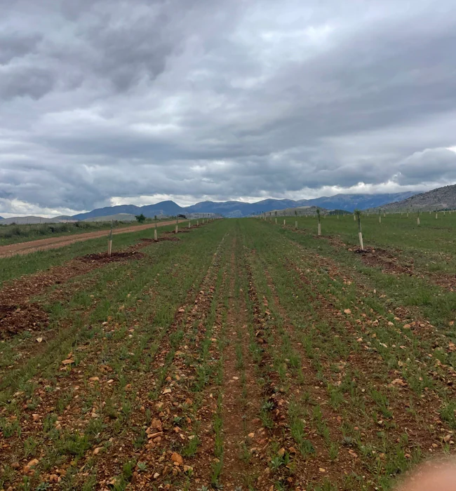 La protección del medio ambiente es la base de la agricultura regenerativa.