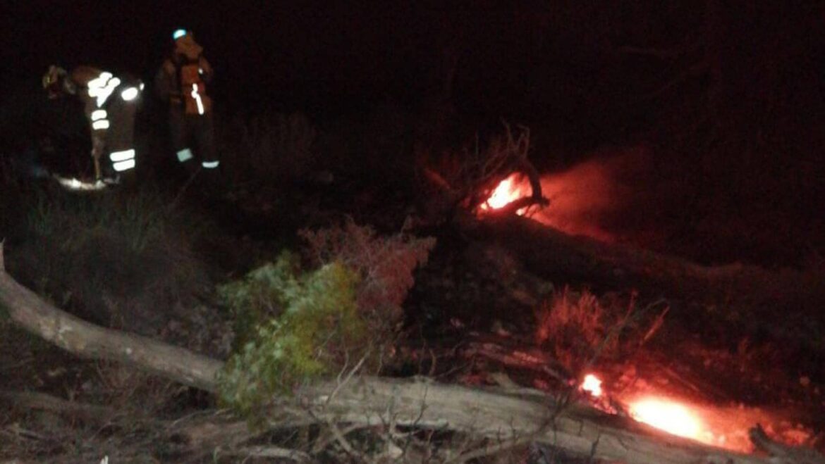 Un incendio forestal originado por un rayo calcina 500 m2 en la Sierra de Salinas de Yecla