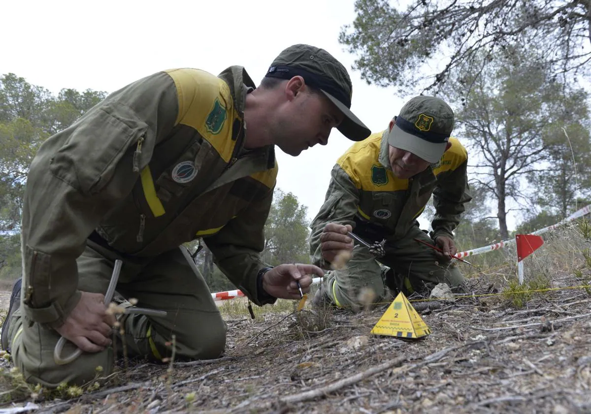 Imagen principal - 1. Recogida de vestigios en la zona de un incendio forestal, previamente acotada, 2. Un efectivo de la Brida, durante la recopilación de muestras biológicas y otras evidencias, 3 Luis Cavero, coordinador de los agentes, con un dron. 