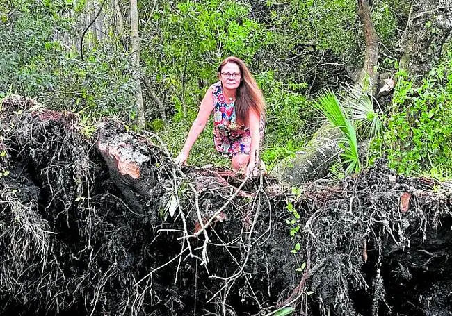 La médica Pilar Alías, junto al árbol arrancado por el huracán junto a su casa.