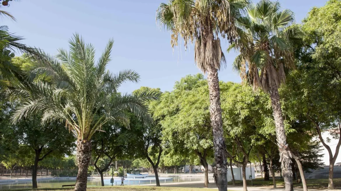 Un taller familiar enseña a reconocer las aves del barrio del Infante de Murcia