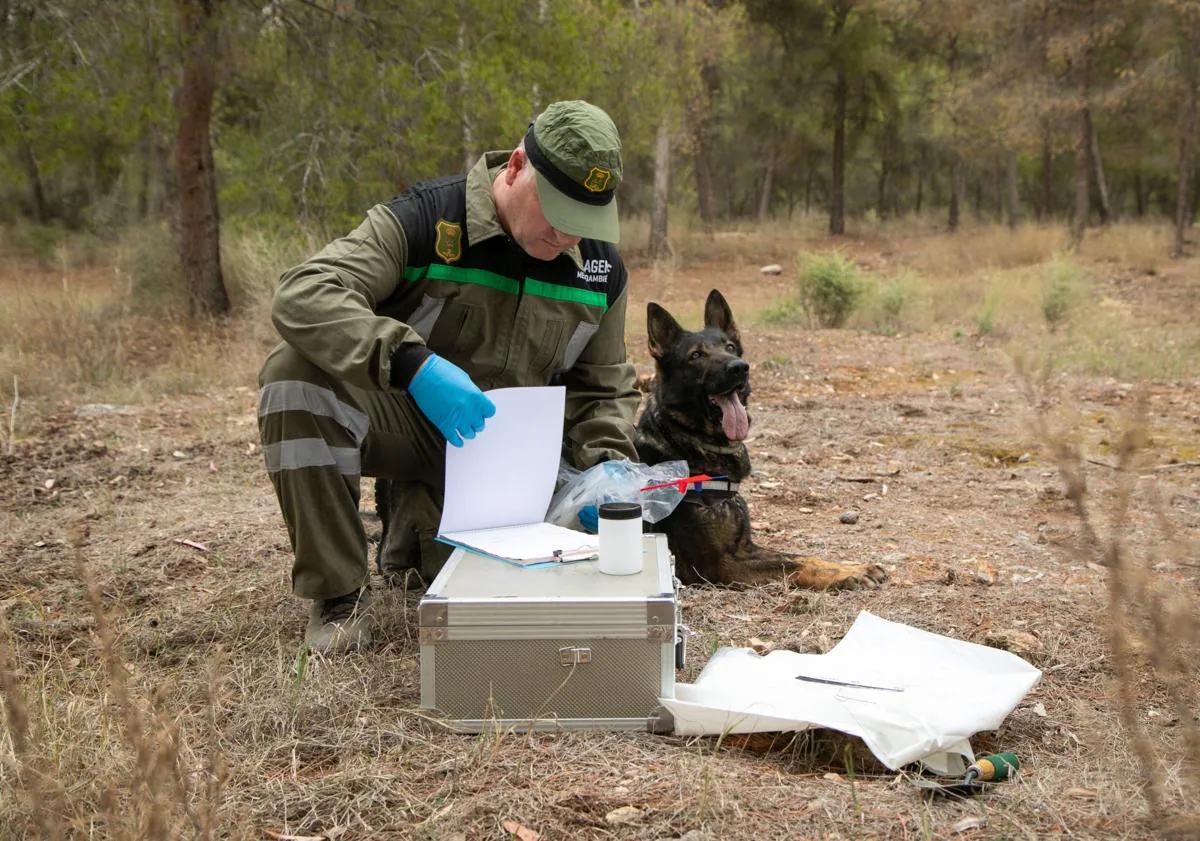 Imagen principal - 1. La recopilación de datos es exhaustiva, 2. El protocolo en la recogida de muestras es vital, 3. Un agente señala la dirección del fuego. 