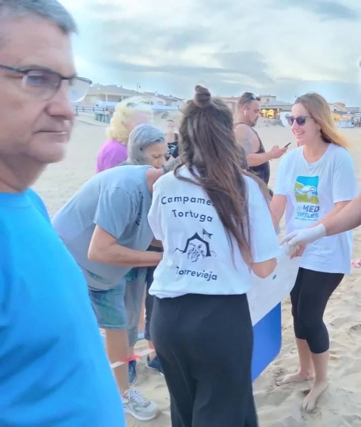 Imagen secundaria 2 - 51 tortugas nacen del segundo nido que 'Pura Vida' puso en la playa de La Mata en Torrevieja