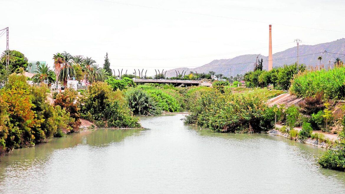 Ecologistas propone renaturalizar un tramo del río Segura