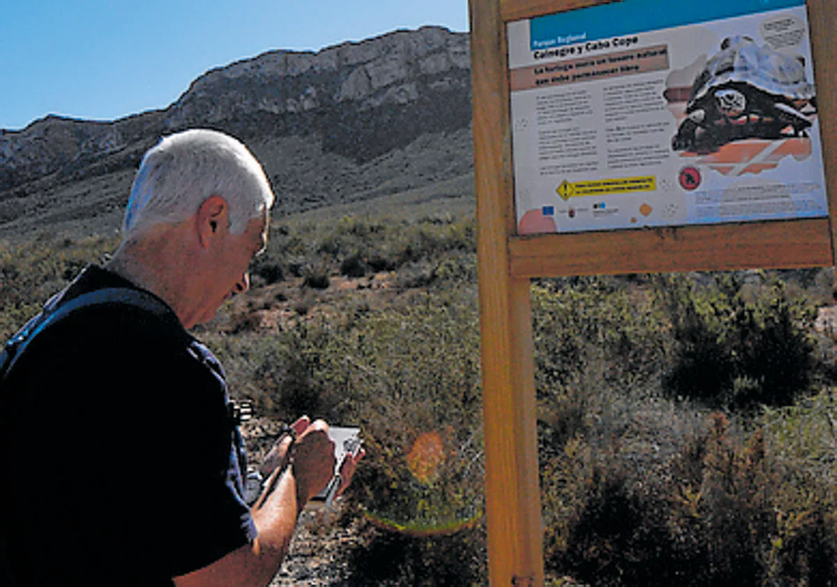 Imagen principal - Arriba: Al inicio del recorrido, los voluntarios registran viento y temperatura, y la hora. Abajo: Crías y adultas, junto al vallado. Un ejemplar adulto (i) detectado junto a la malla conejera entre la ladera de Cabo Cope y la RM-D15; y cría (d) detectada este otoño. 