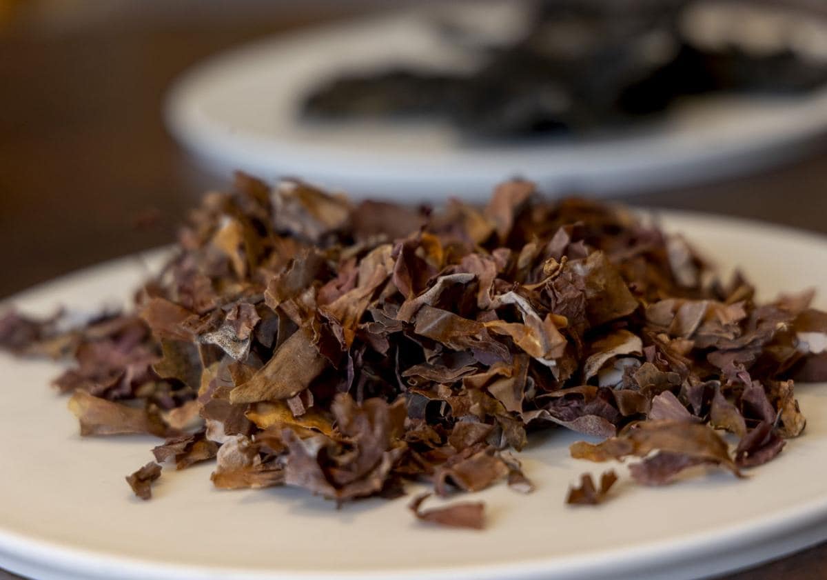 Imagen principal - Alga dulse (sí, con 's') o 'Palmaria palmata'. Espaguetis de mar o 'Himanthalia elongata' deshidratados. Selección de algas para el caldero que prepara Clemente Gómez. 