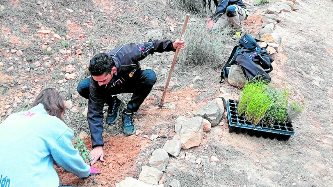 Las pinturas rupestres del Abrigo del Azud de Ricote estrenan señalización