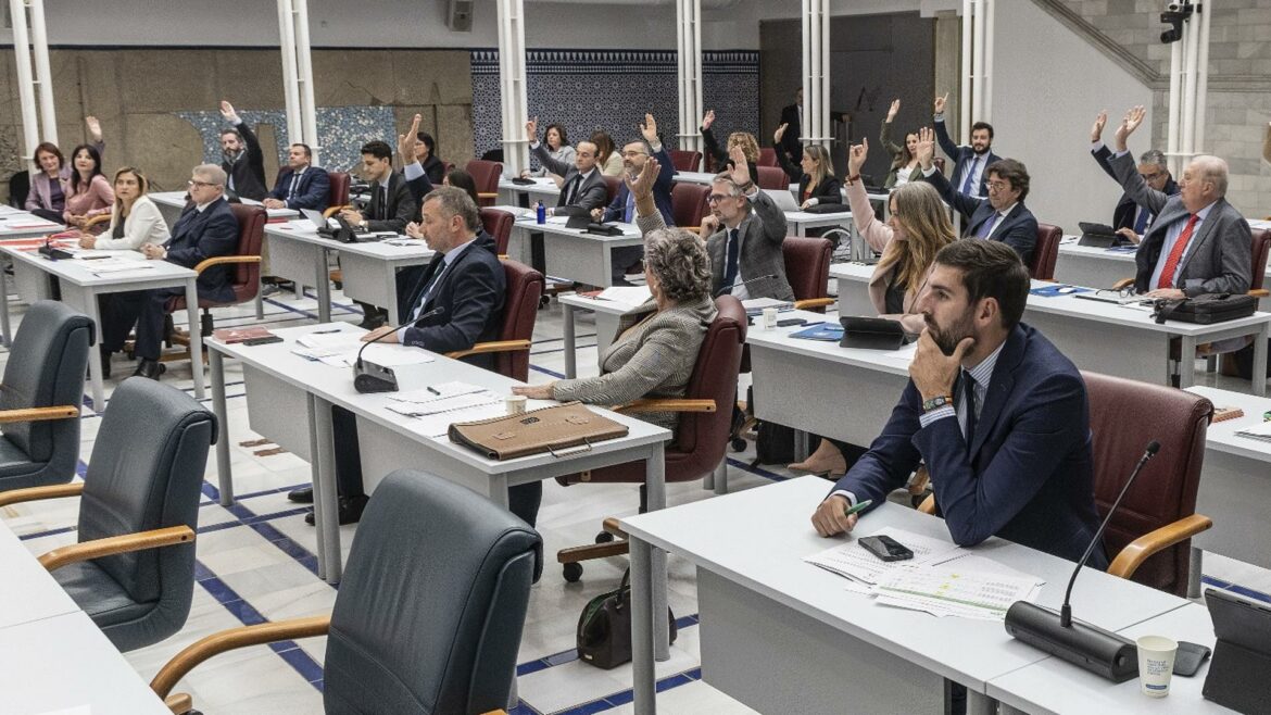 PP y PSOE exhiben su incapacidad de unirse contra la violencia de género en la Asamblea