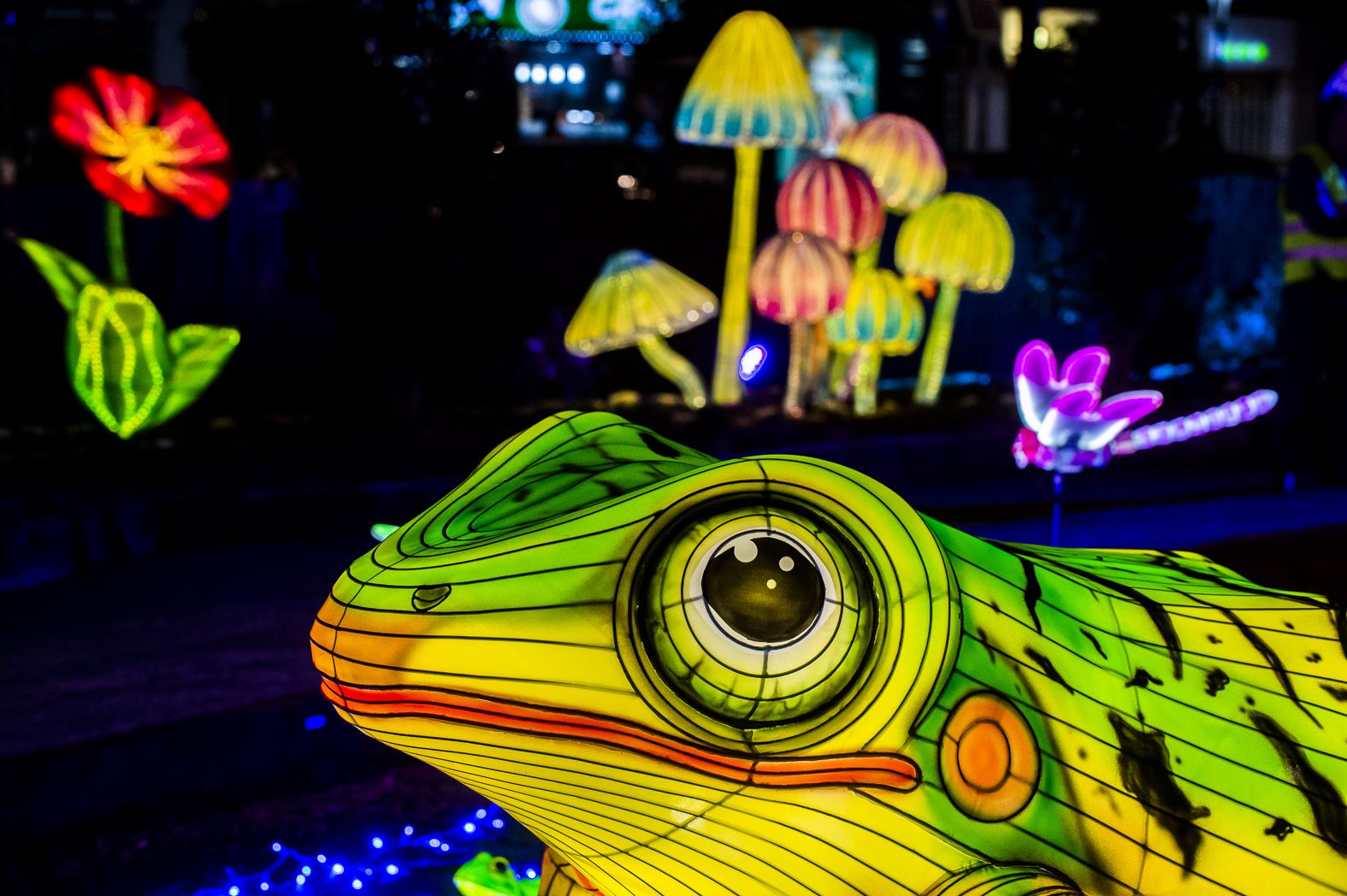 Así es Lucidum, el espectáculo sensorial navideño de Murcia