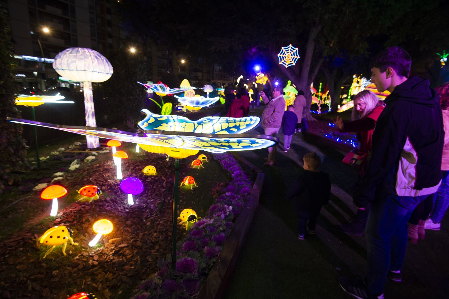 Así es Lucidum, el espectáculo sensorial navideño de Murcia