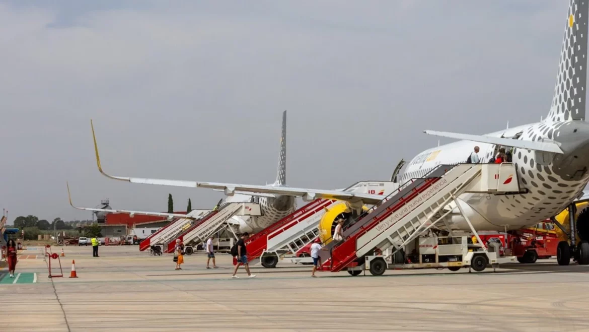 Vacaciones ‘pet-friendly’: consejos para viajar con tu mascota en avión