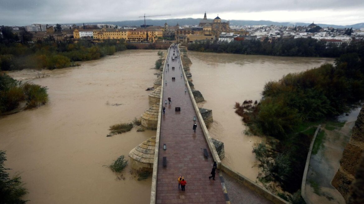 La ingeniería salva vidas